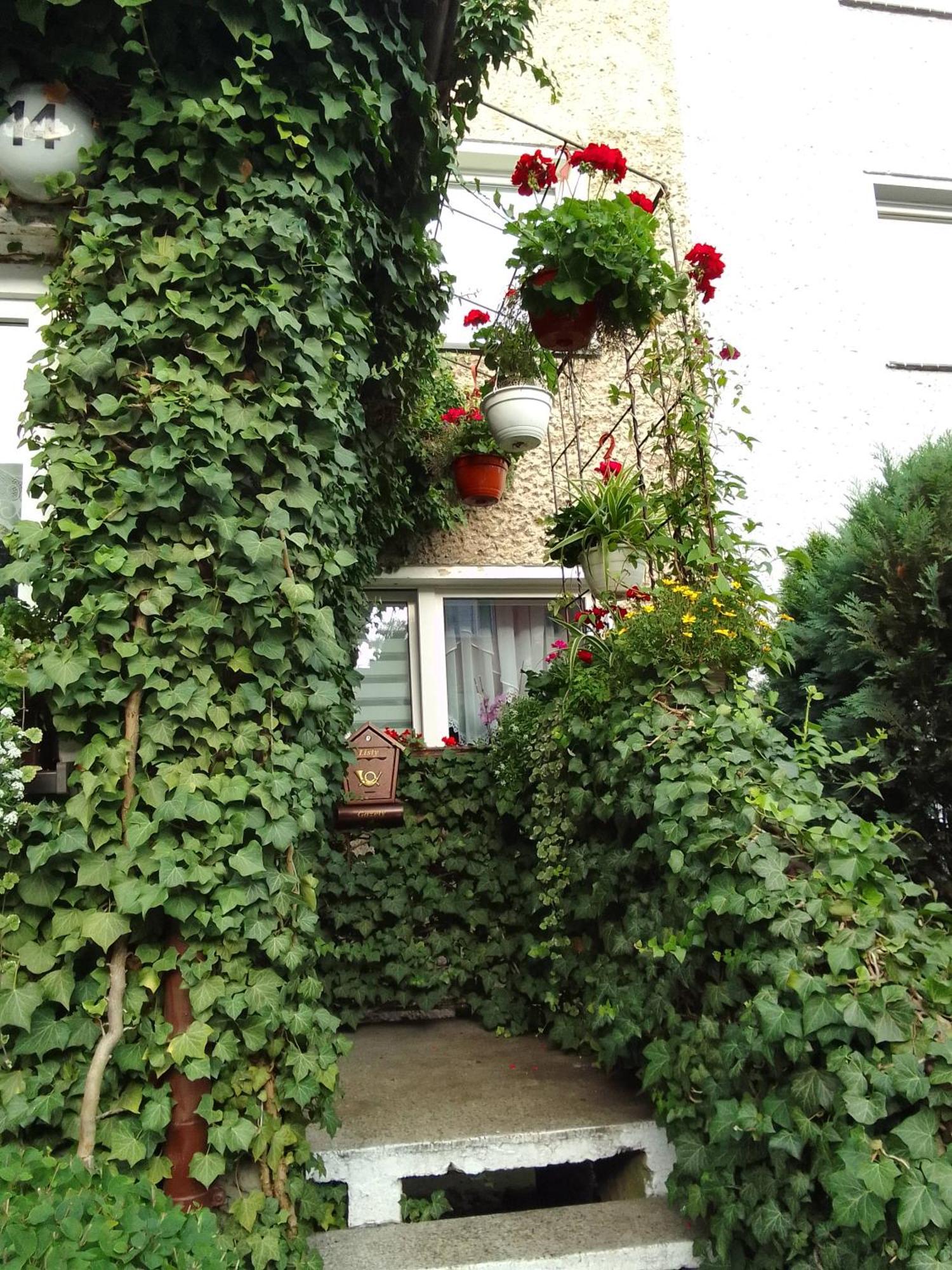 Pod Bluszczem Apartment Świnoujście Cameră foto